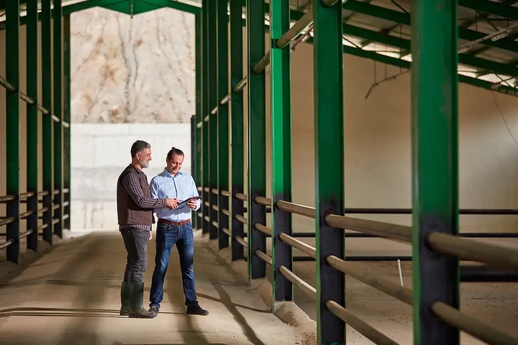Two men in a large livestock barn with green metal beams discussing plans on a tablet, reviewing farm infrastructure during daytime.