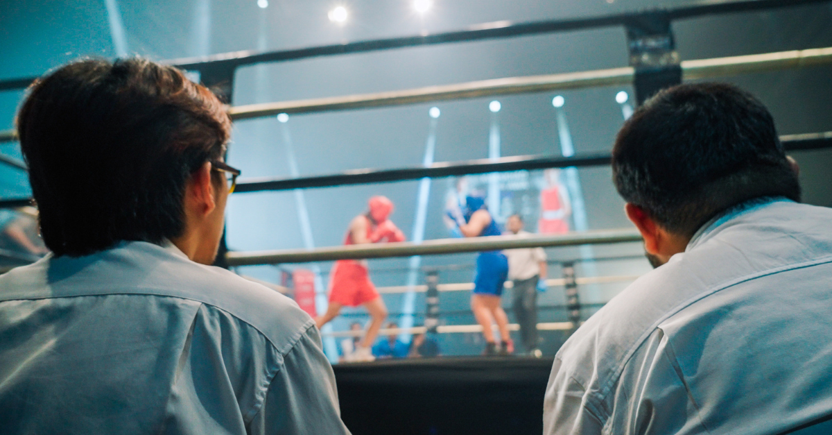 onlookers at pro MMA event